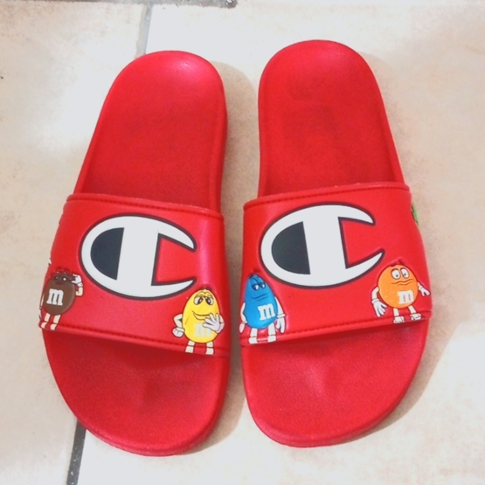 CHAMPION Big kids slides